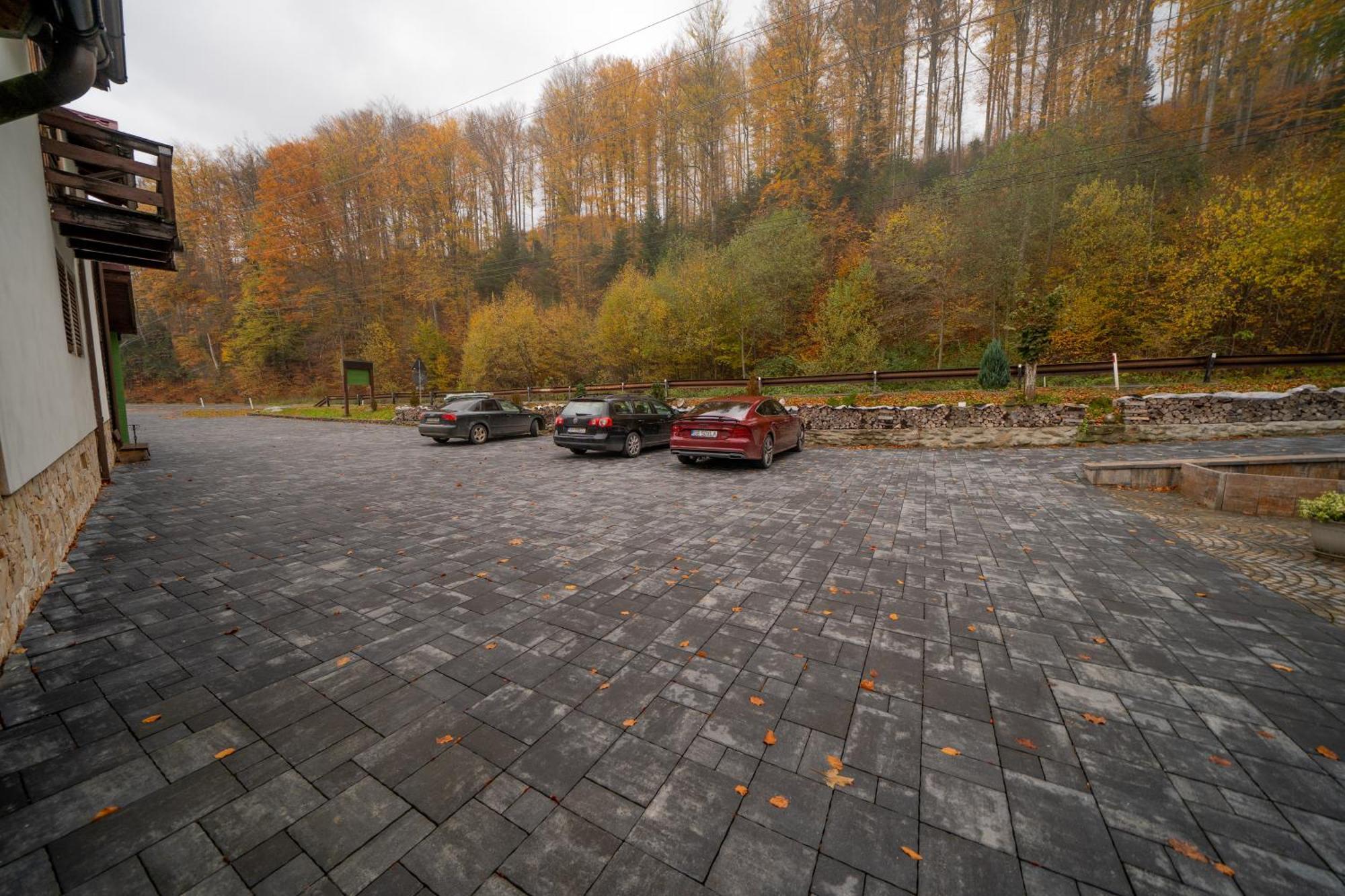 ホテル Popas Turistic Transfagarasan Cîrţişoara エクステリア 写真